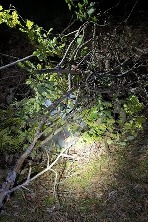 Szczątki balonu z nielegalną przesyłką 