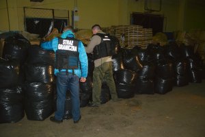 Nielegalny tytoń wart blisko 700 tys. zł. 