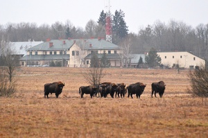 Podlaski OSG 