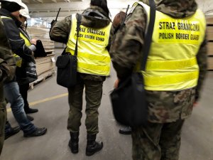 Kontrola legalności zatrudnienia 