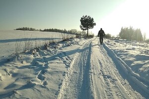 Zimowy patrol. fot. Placówka SG w Kuźnicy 