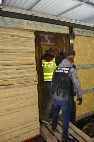 Ujawnione nielegalne papierosy przewożone w dwóch tirach 