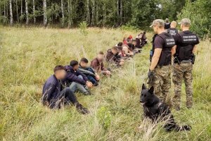 Nielegalni migranci zatrzymani na polsko - białoruskiej granicy 