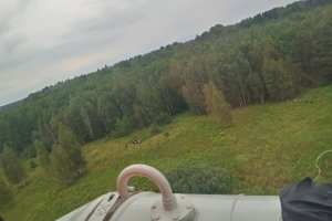 Na pomoc nielegalnym migrantom 