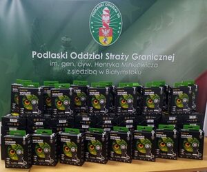 Doposażenie przez PGZ Zestawy latarek