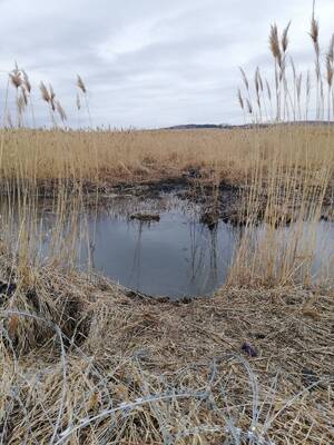 POSG_30_03_2022 Bobry 