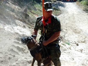 Ćwiczenia psów służbowych w Narwiańskim Parku Narodowym 