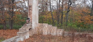 Warsztaty kynologiczne 