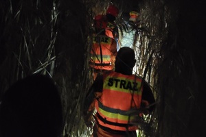 Akcja ratunkowa na bagnach 