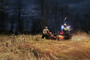 Akcja ratunkowa na bagnach 