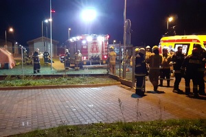 Akcja ratunkowa na bagnach 