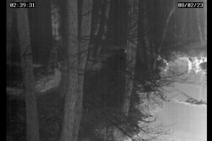 Przekroczenie granicy przez rzekę graniczną Wołkuszanka 