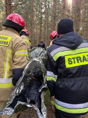 Akcja ratunkowa w Puszczy Białowieskiej 