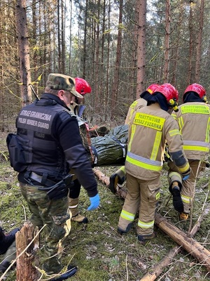 Akcja Ratunkowa w Puszczy Białowieskiej 
