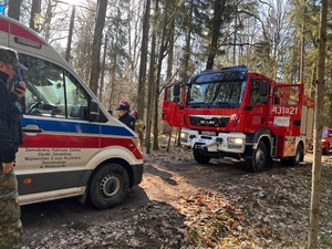 Akcja ratunkowa w Puszczy Białowieskiej 
