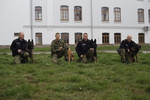 Mistrzostwa Kynologiczne w Podlaskim Oddziale Straży Granicznej 