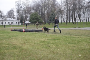 Mistrzostwa Kynologiczne w Podlaskim Oddziale Straży Granicznej 