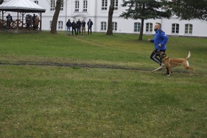 Mistrzostwa Kynologiczne w Podlaskim Oddziale Straży Granicznej 