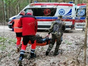 Akcja ratunkowa w lesie 