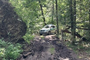 Patrol SG w Puszczy Białowieskiej 