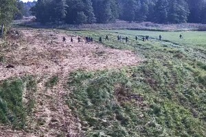 Grupa, która do polski dostała się przekraczając nielegalnie rzekę graniczną 