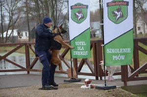 VI zawody psów służbowych POSG 