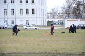 VI zawody psów służbowych POSG 