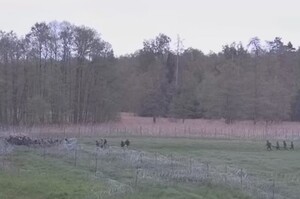 Próba siłowego przekroczenia granicy 