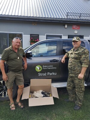 Na ratunek bocianom 