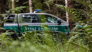 Patrol SG Pojazd Straży Granicznej za paprociami