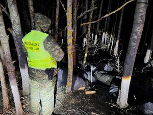 Zatrzymana grupa migrantów po nielegalnym przekroczeniu granicy 