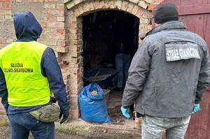 Zatrzymany nielegalny susz tytoniowy Funkcjonariusz Straży Granicznej i krajowej Administracji Skarbowej plecami, przed nimi budynek, w którym znajdują sie worki z suszem tytoniowym.