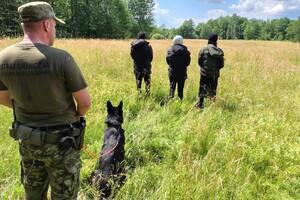 Zatrzymanie nielegalnych migrantów 