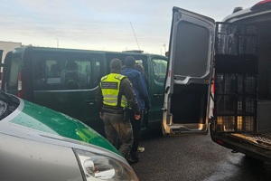 Przekazanie migrantów stronie litewskiej