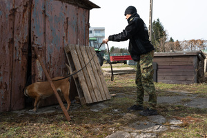 Międzyoddziałowe Warsztaty Kynologiczne Podlaskiego Oddziału Straży Granicznej 