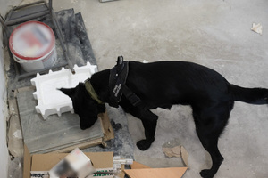 Międzyoddziałowe Warsztaty Kynologiczne Podlaskiego Oddziału Straży Granicznej 