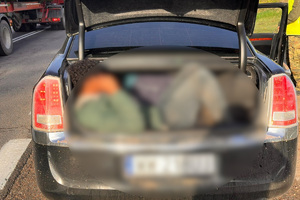 Zatrzymanie 7 cudzoziemców i 2 kurierów przez funkcjonariuszy z Sejn 