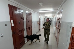 Ćwiczenia doskonalące psów służbowych Podlaskiego Oddziału Straży Granicznej w nietypowych warunkach 