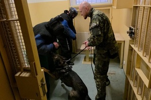Ćwiczenia doskonalące psów służbowych Podlaskiego Oddziału Straży Granicznej w nietypowych warunkach 