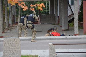 Ćwiczenia "Przesmyk suwalski Kukle - 2016" 